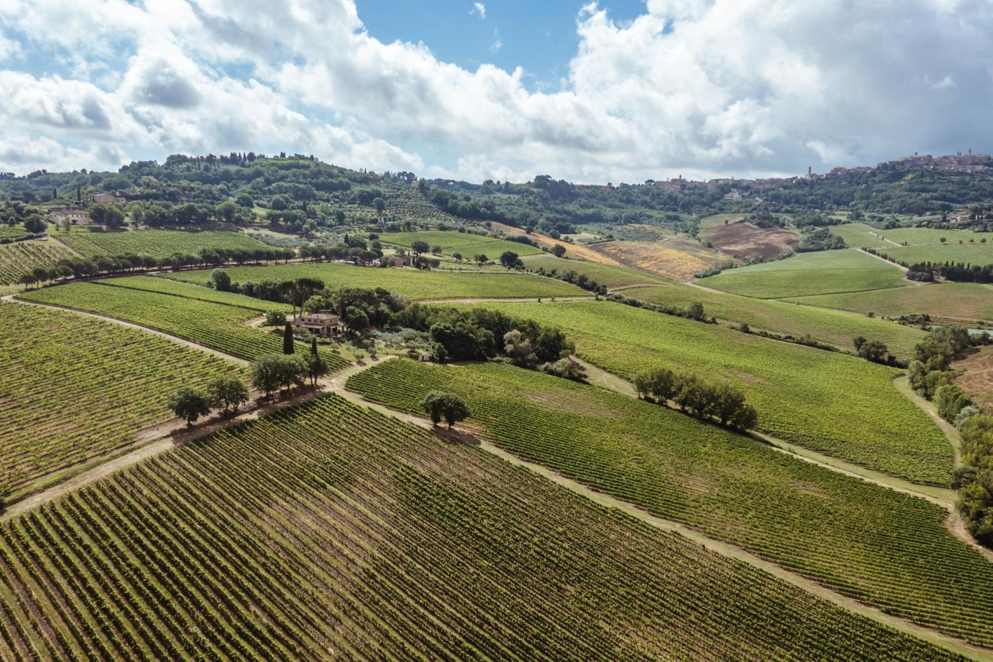 Villa Talosa Montepulciano Stazione 外观 照片